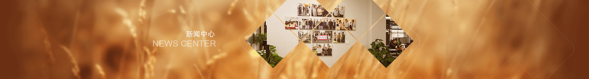 任您躁水蜜桃code视频